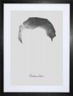 Von Braun (Here Comes the Science)