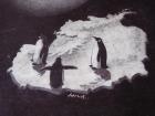 pppenguins