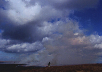 Setting the Fell On Fire Setting the Fell On Fire